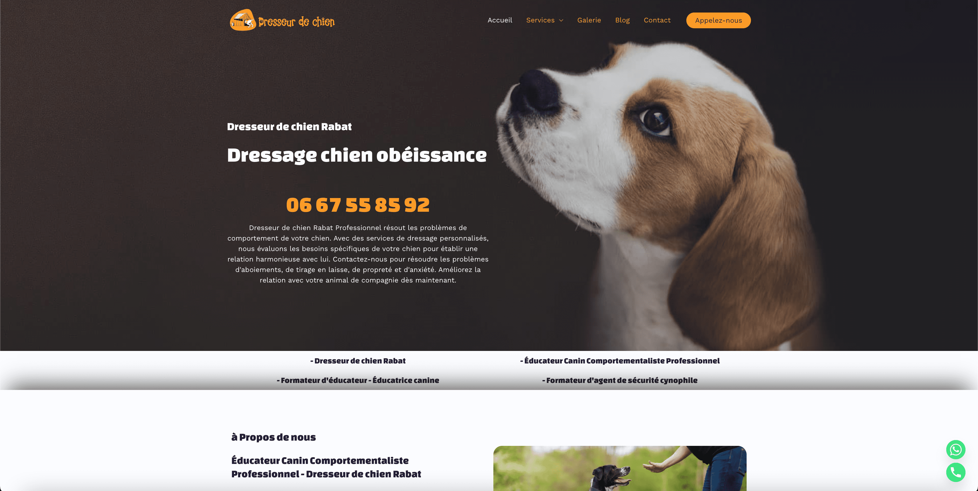 Projet Dresseur de Chien développé par ByteBloom